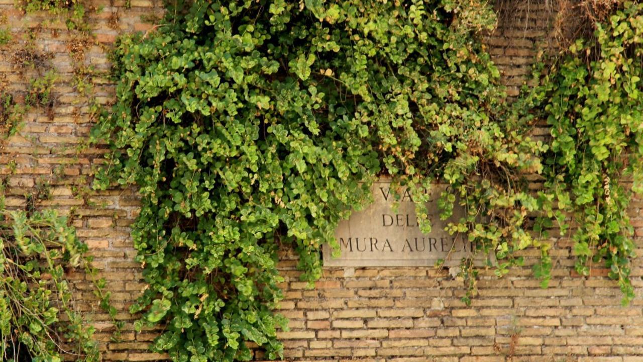 Vista San Pietro Lejlighed Rom Eksteriør billede